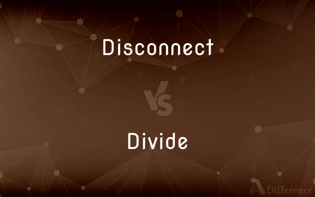 Disconnect vs. Divide — What's the Difference?