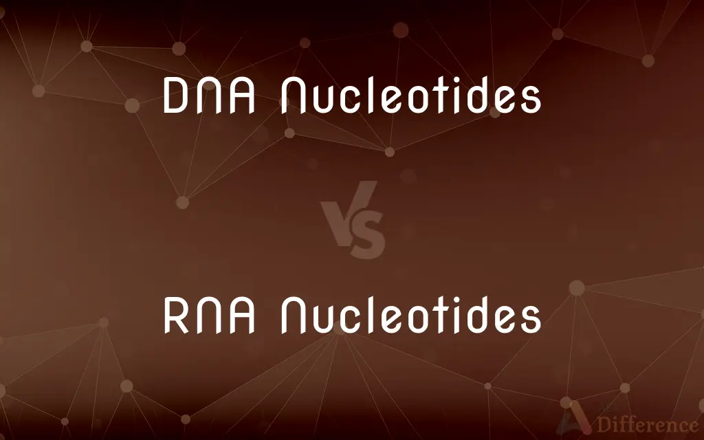 DNA Nucleotides vs. RNA Nucleotides — What's the Difference?