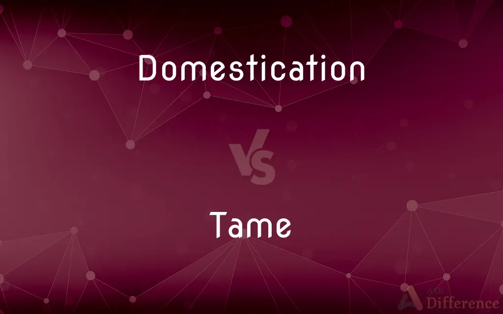 Domestication vs. Tame — What's the Difference?