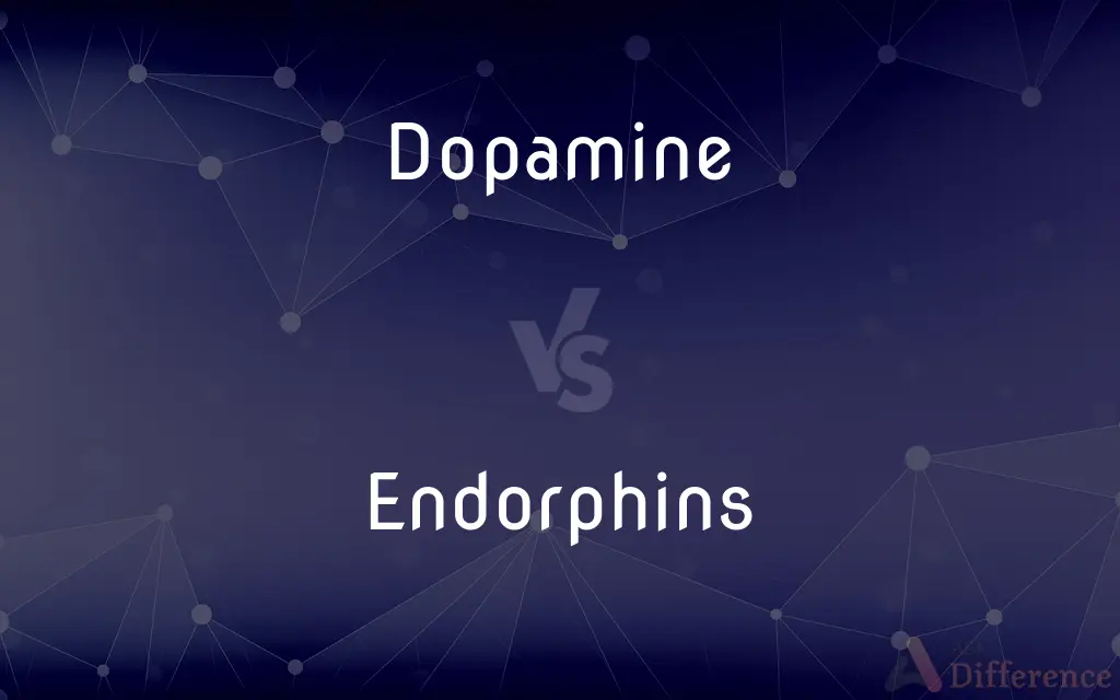 Dopamine vs. Endorphins — What's the Difference?