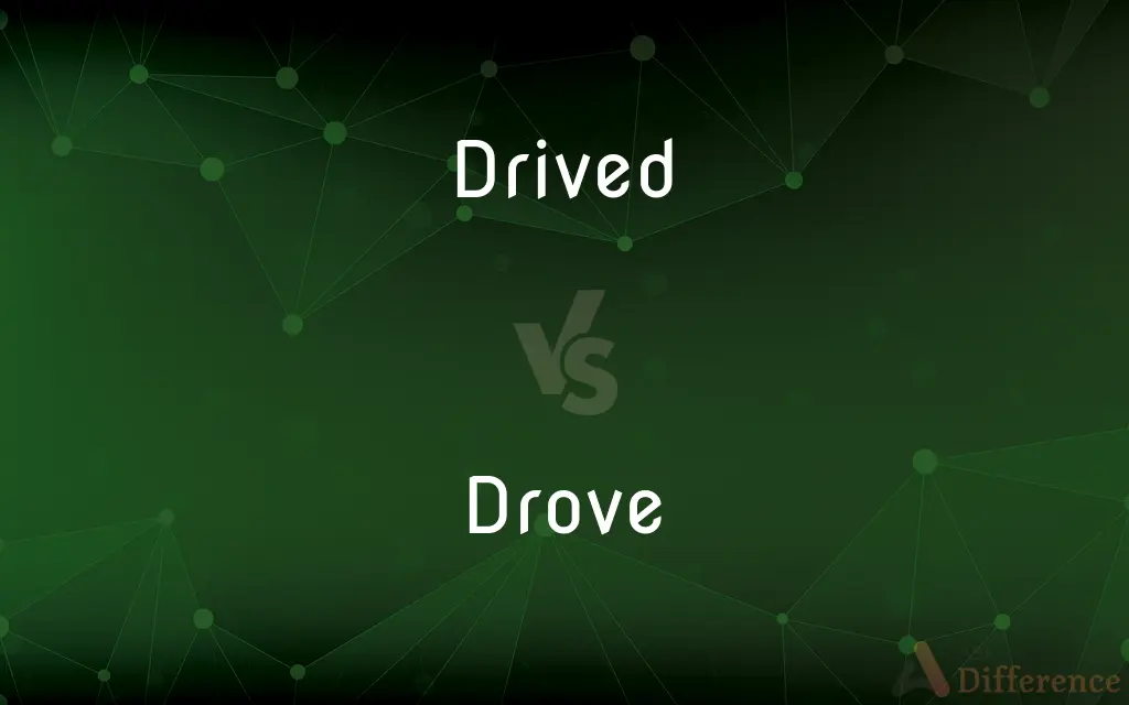 Drived vs. Drove — Which is Correct Spelling?