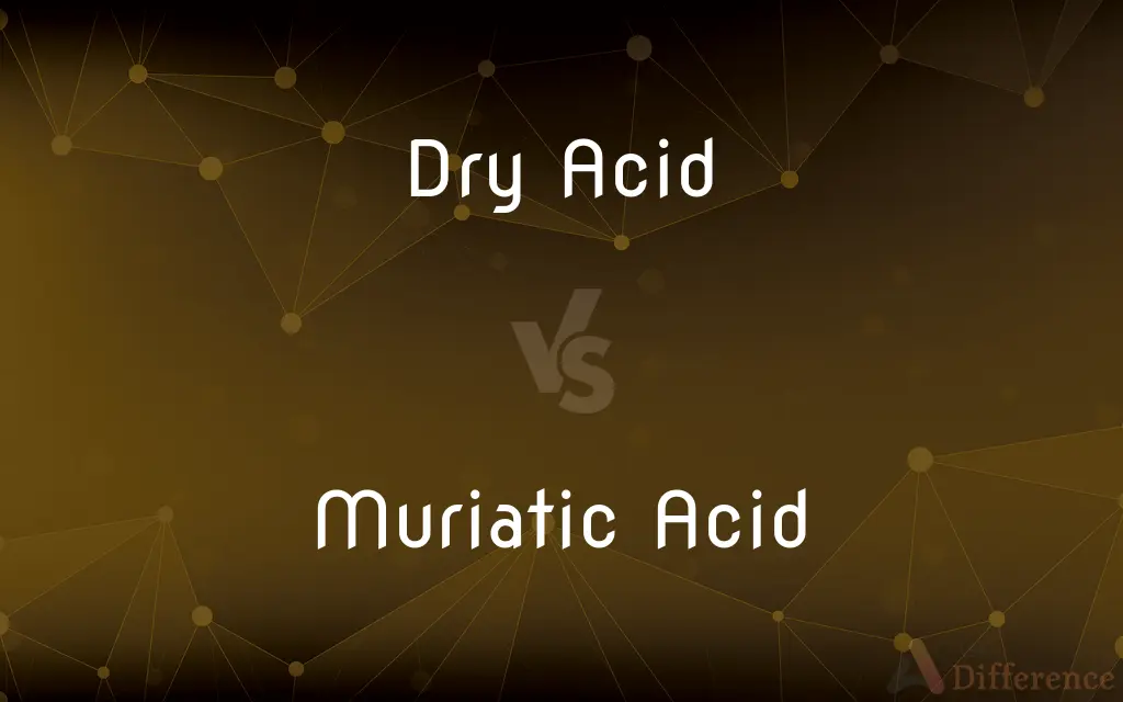 Dry Acid vs. Muriatic Acid — What's the Difference?