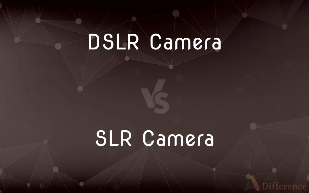 DSLR Camera vs. SLR Camera — What's the Difference?