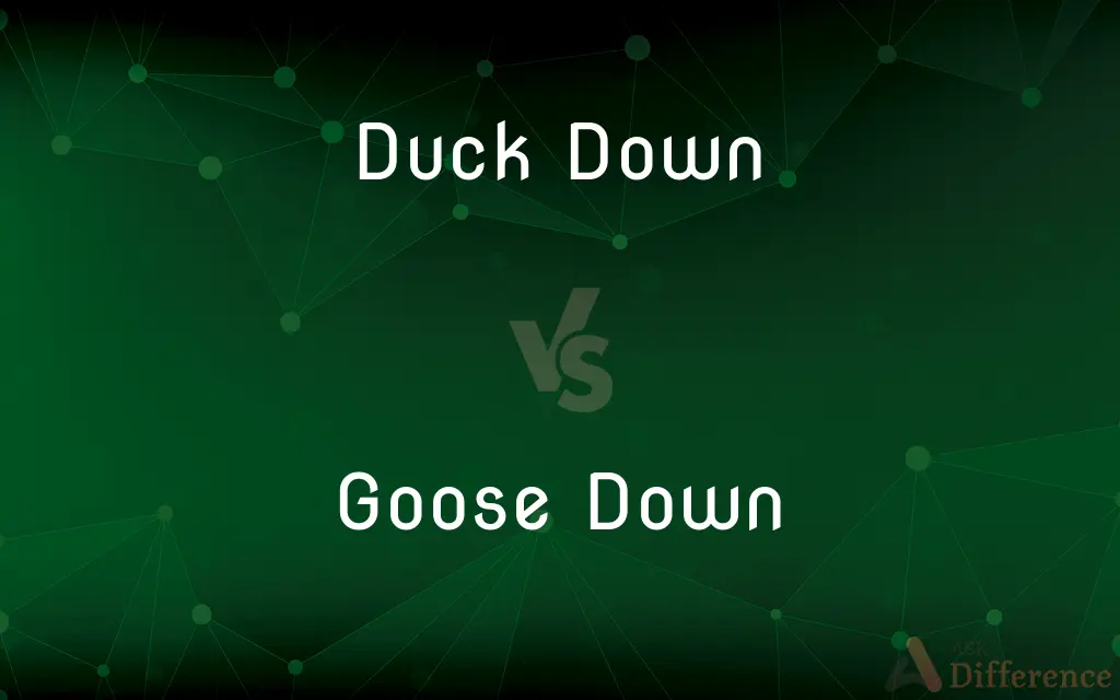 Duck Down vs. Goose Down — What's the Difference?