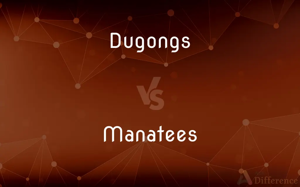 Dugongs vs. Manatees — What's the Difference?