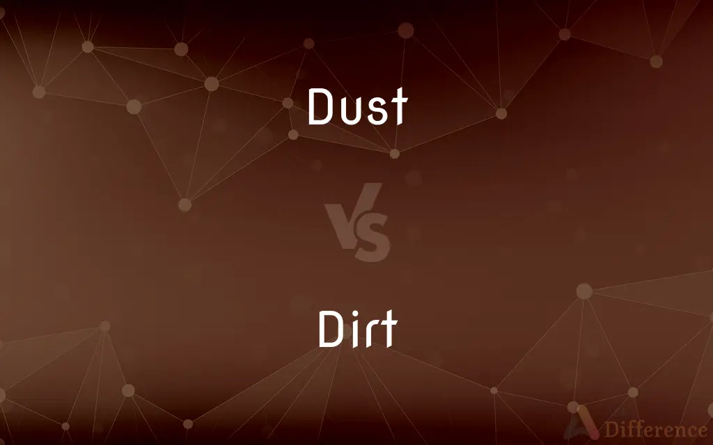 Dust Vs Dirt What s The Difference 