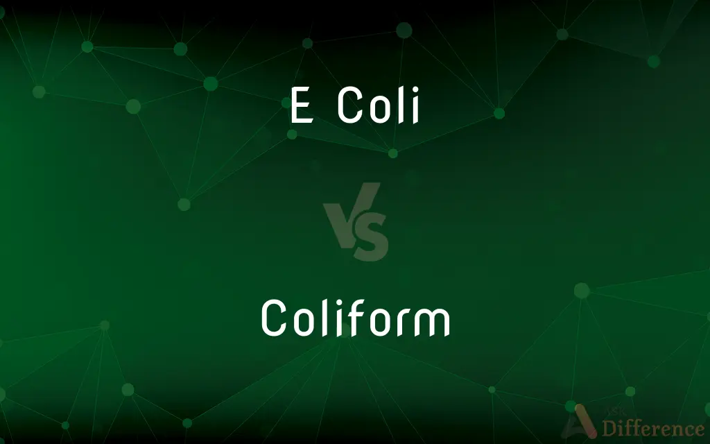 E Coli vs. Coliform — What's the Difference?