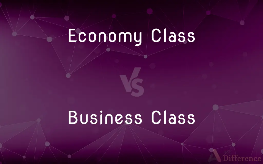 Economy Class vs. Business Class — What's the Difference?