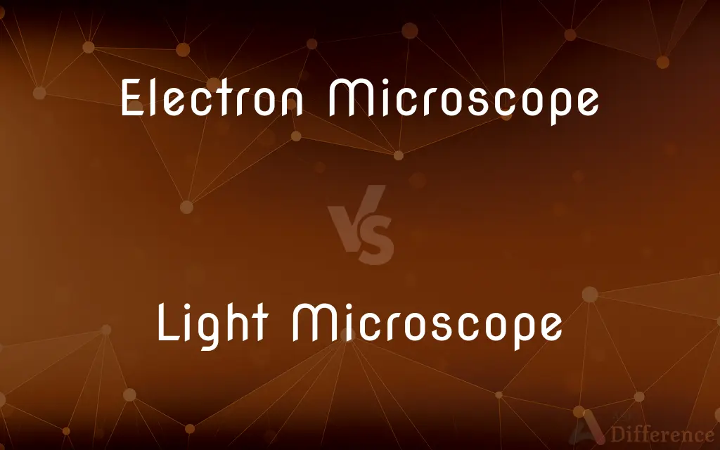 Electron Microscope vs. Light Microscope — What's the Difference?