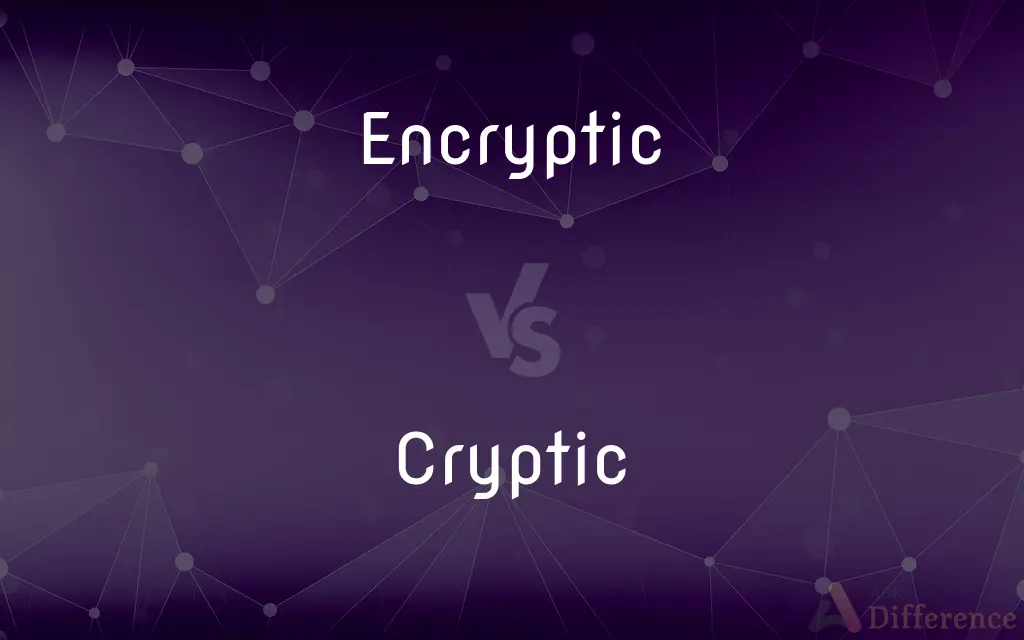 Encryptic vs. Cryptic — Which is Correct Spelling?