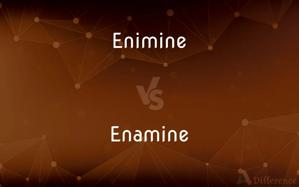 Enimine vs. Enamine — Which is Correct Spelling?