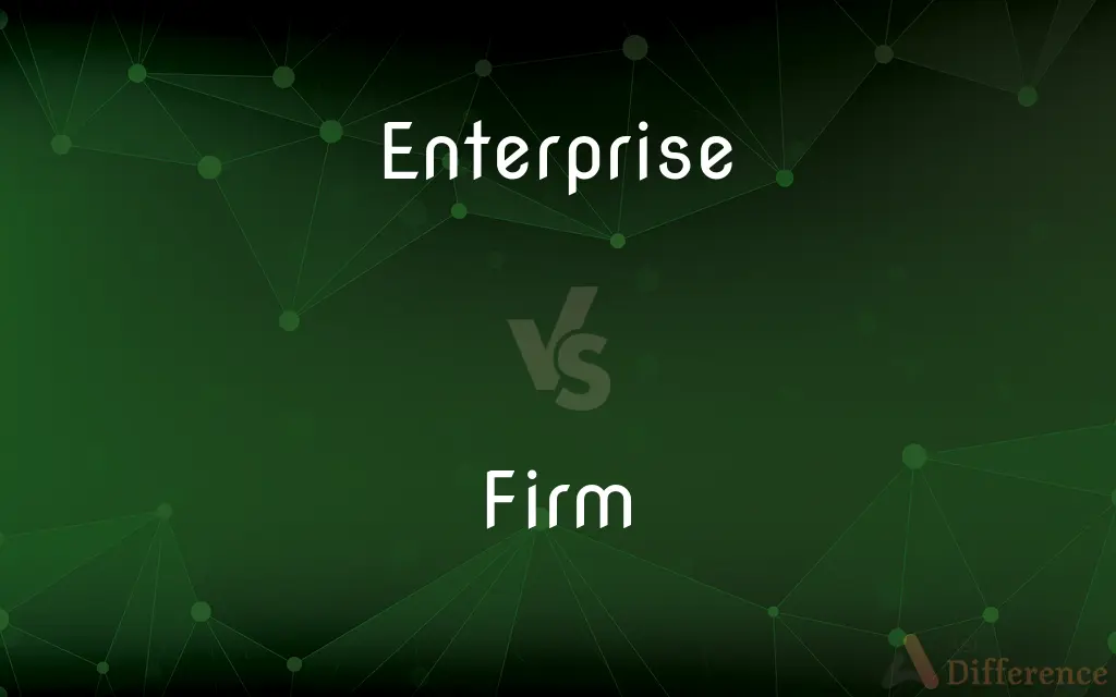 Enterprise vs. Firm — What's the Difference?