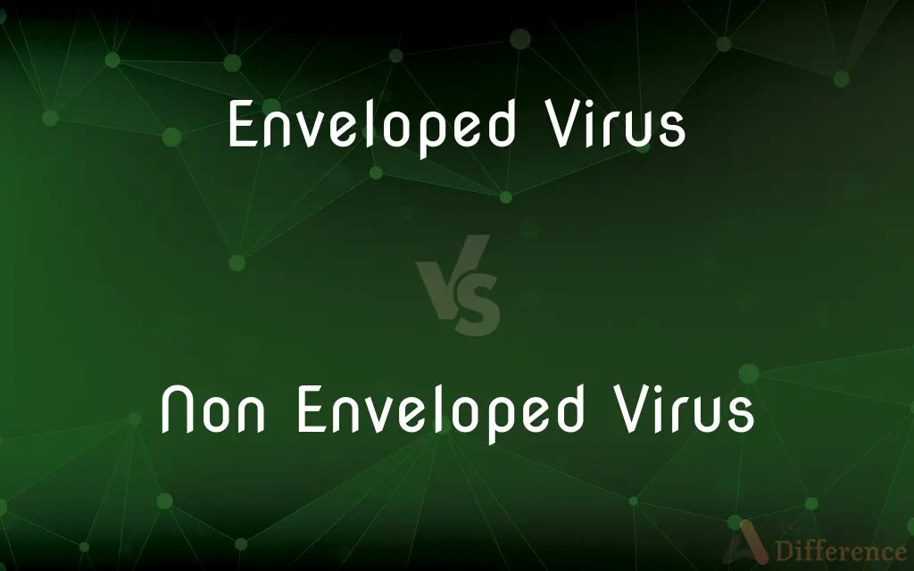 Enveloped Virus vs. Non Enveloped Virus — What's the Difference?