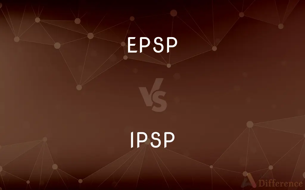 EPSP vs. IPSP — What's the Difference?