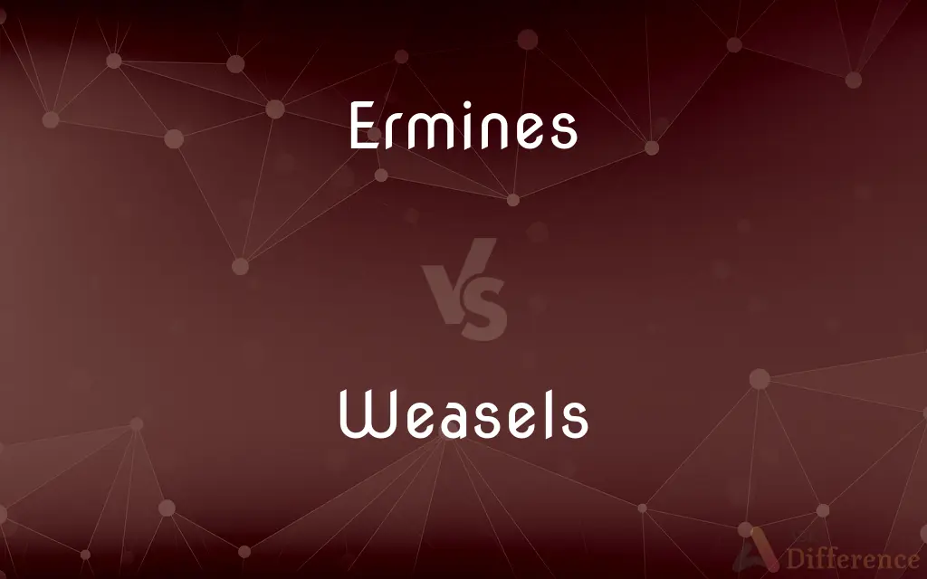 Ermines vs. Weasels — What's the Difference?