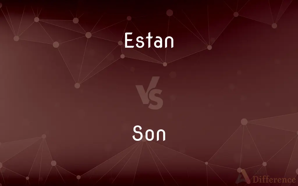 Estan vs. Son — What's the Difference?