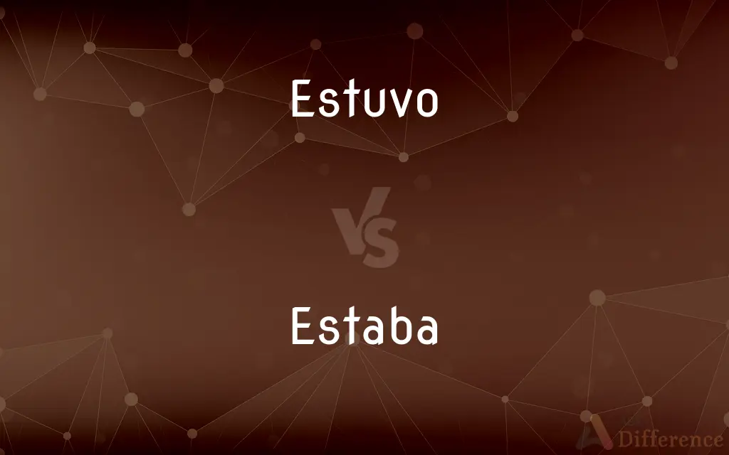 Estuvo vs. Estaba — What's the Difference?