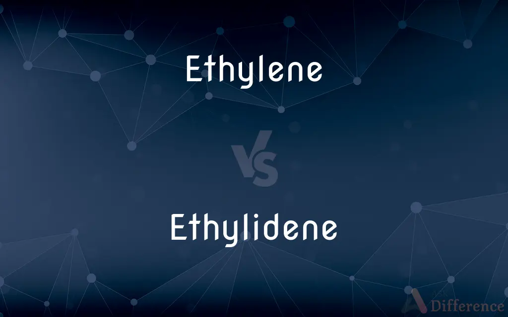 Ethylene vs. Ethylidene — What's the Difference?