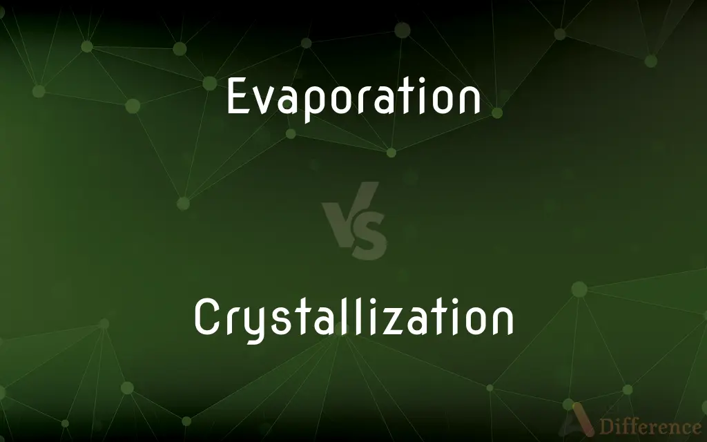 Evaporation vs. Crystallization — What's the Difference?