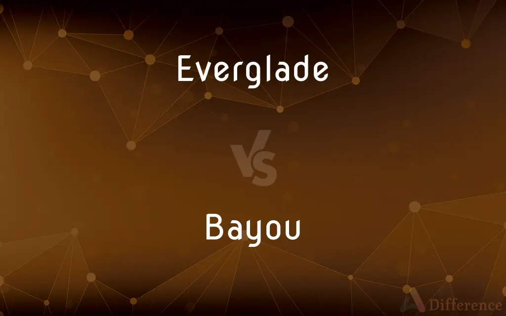 Everglade vs. Bayou — What's the Difference?