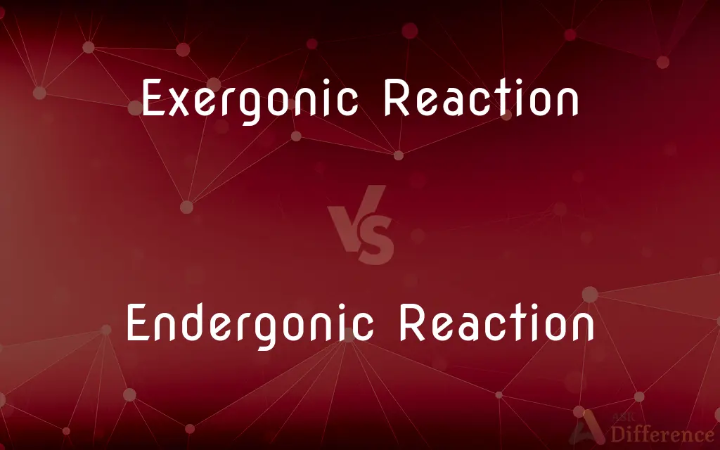 Exergonic Reaction vs. Endergonic Reaction — What's the Difference?