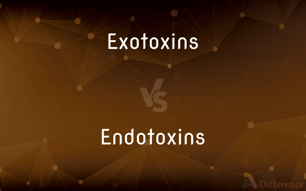 Exotoxins vs. Endotoxins — What's the Difference?