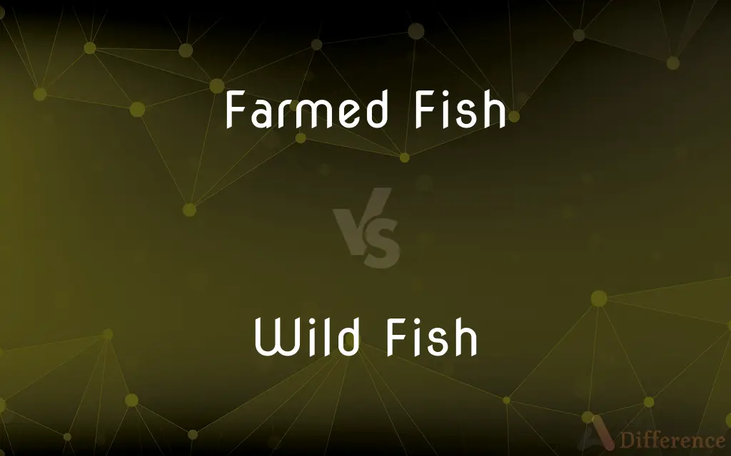 Farmed Fish vs. Wild Fish — What's the Difference?