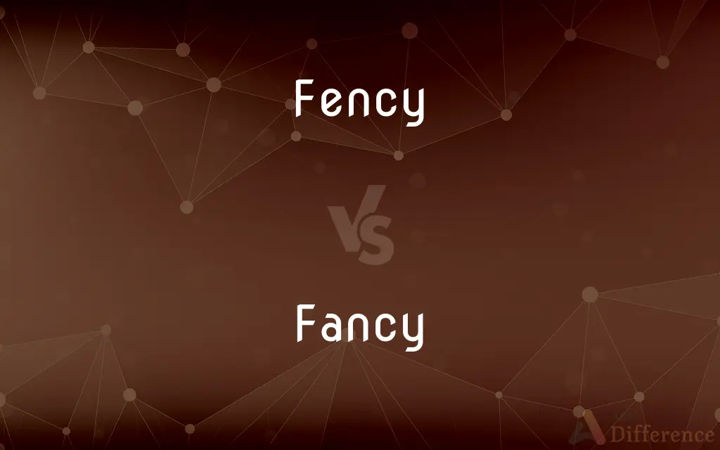 Fency vs. Fancy — Which is Correct Spelling?