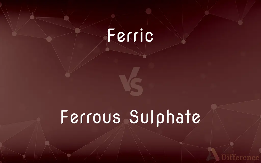 Ferric vs. Ferrous Sulphate — What's the Difference?