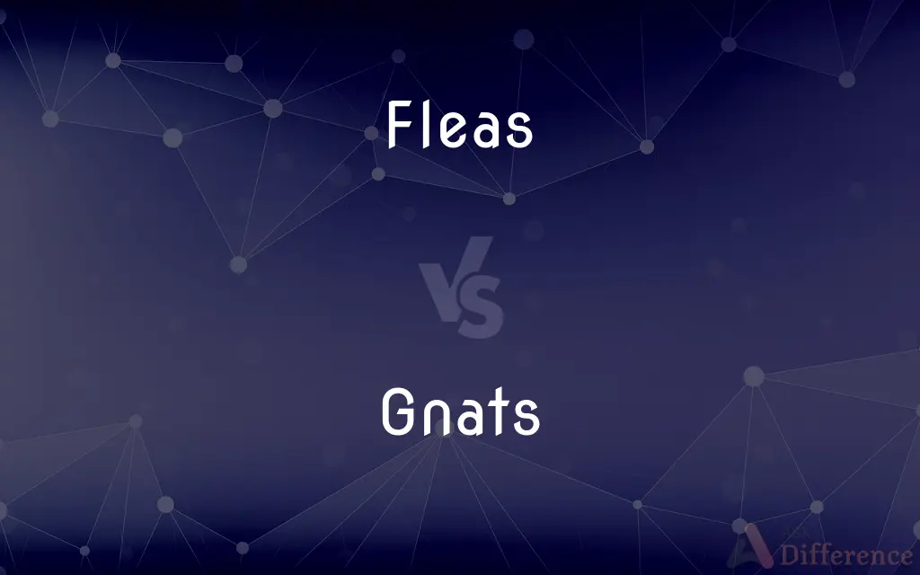 Fleas vs. Gnats — What's the Difference?