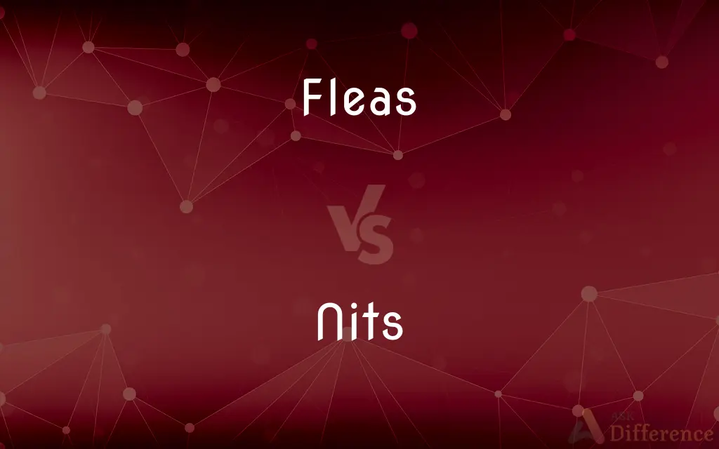 Fleas vs. Nits — What's the Difference?