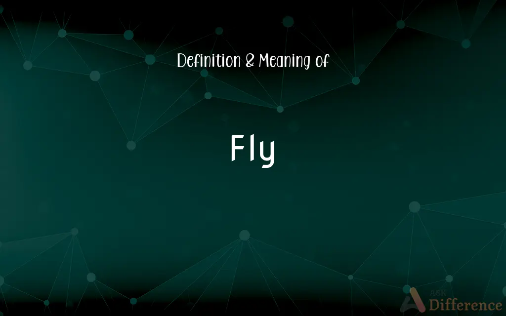 Fly