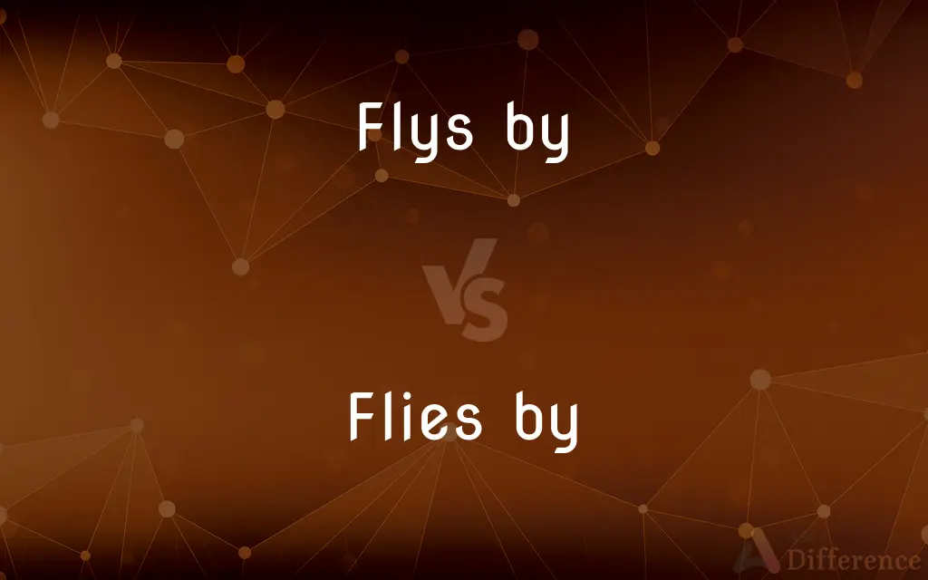 Flys by vs. Flies by — Which is Correct Spelling?
