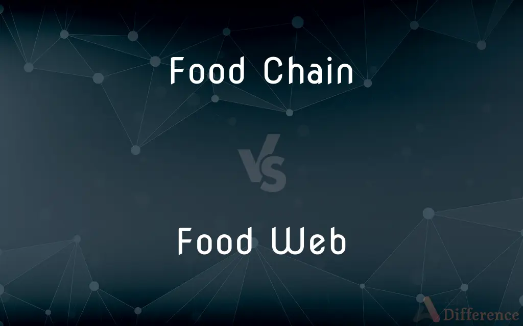 Food Chain vs. Food Web — What's the Difference?