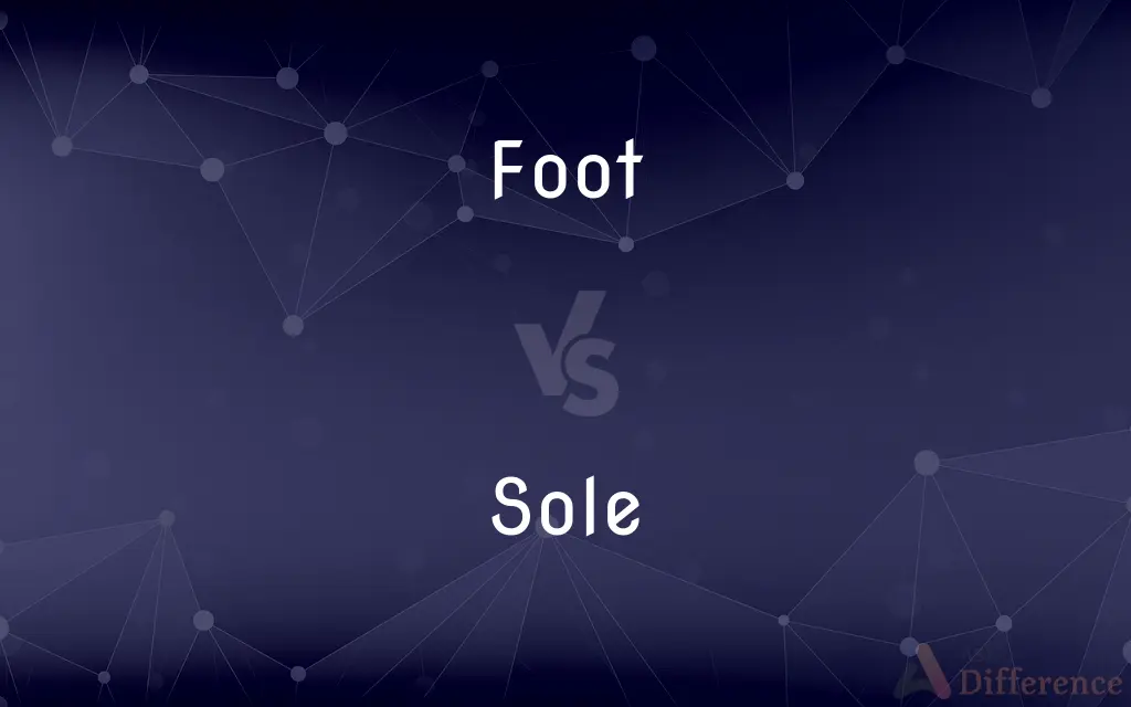 Foot vs. Sole — What's the Difference?