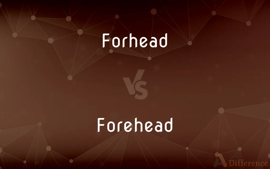 Forhead vs. Forehead — Which is Correct Spelling?