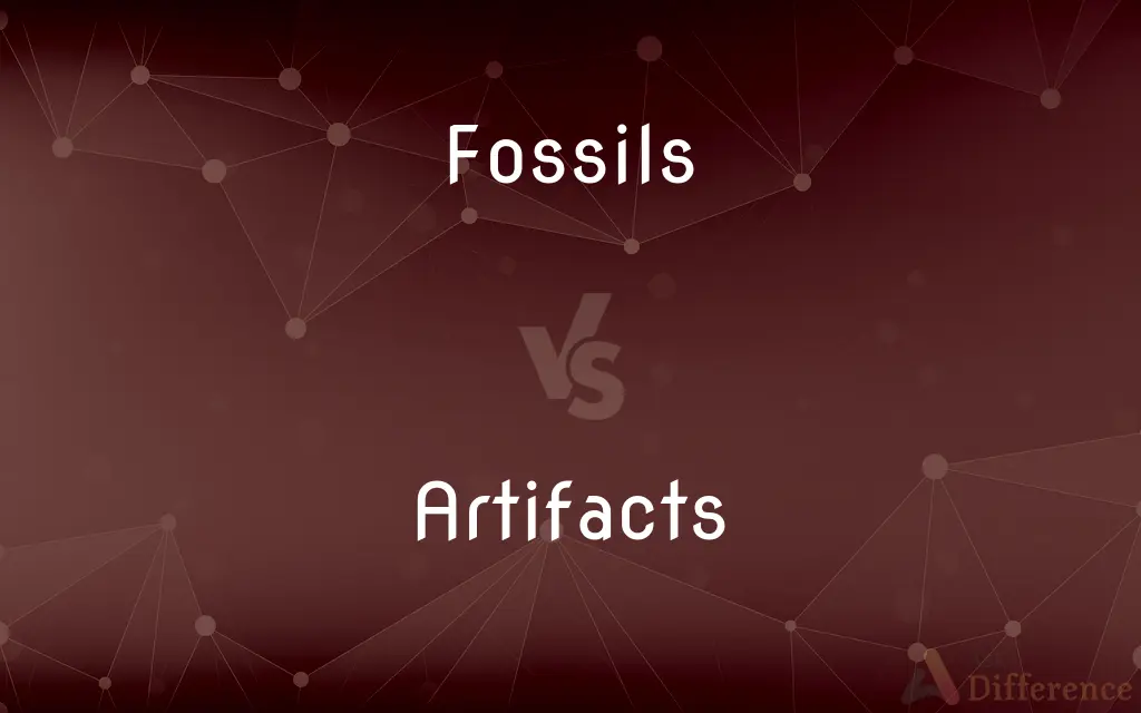 Fossils vs. Artifacts — What's the Difference?