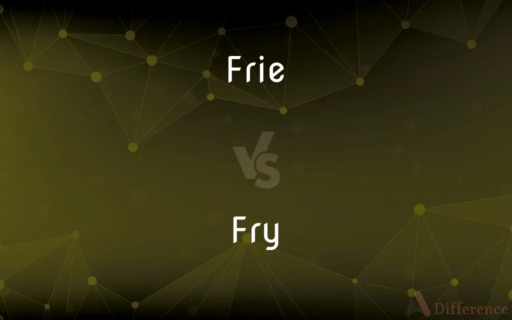 Frie vs. Fry — Which is Correct Spelling?