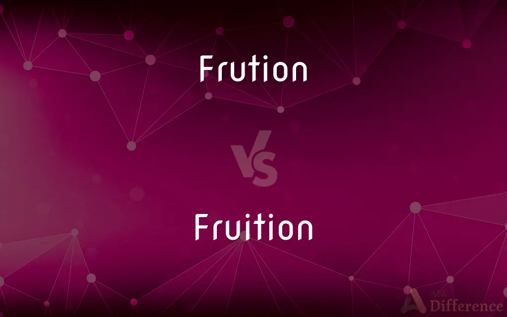 Frution vs. Fruition — Which is Correct Spelling?