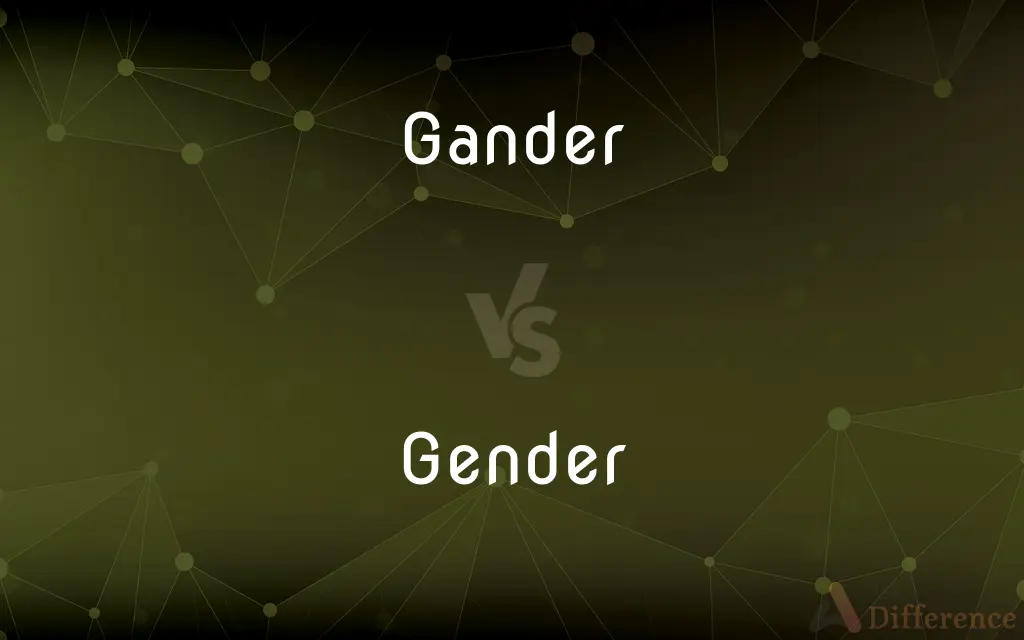 Gander Vs Gender — What S The Difference