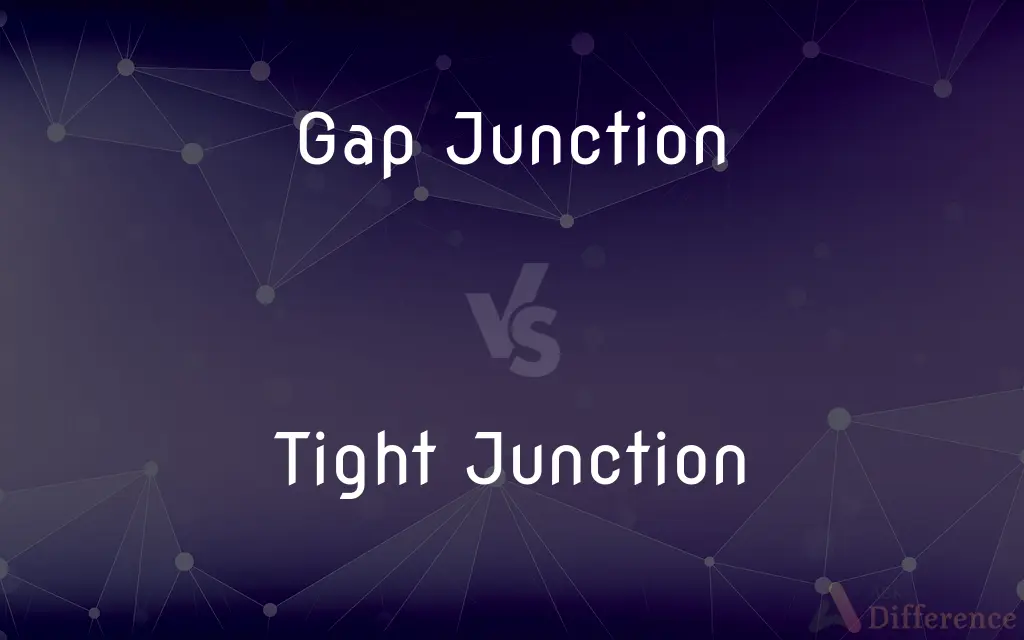 Gap Junction vs. Tight Junction — What's the Difference?