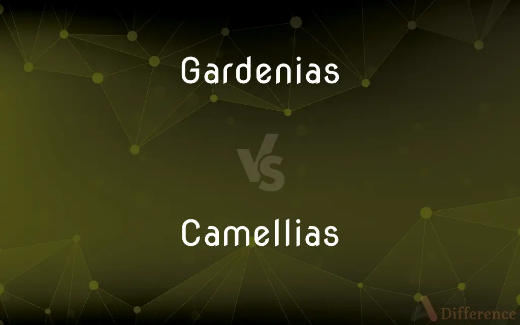 Gardenias vs. Camellias — What's the Difference?