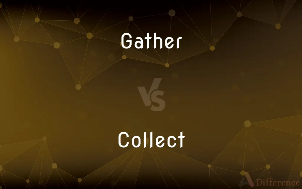 Gather Vs Collect What s The Difference 