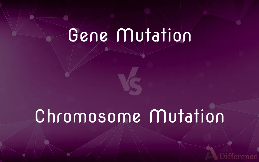 Gene Mutation vs. Chromosome Mutation — What's the Difference?