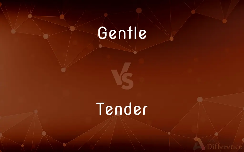 Gentle vs. Tender — What's the Difference?