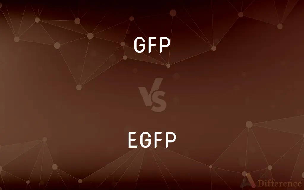 GFP vs. EGFP — What's the Difference?