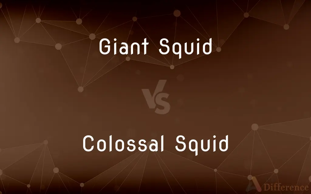 Giant Squid vs. Colossal Squid — What's the Difference?