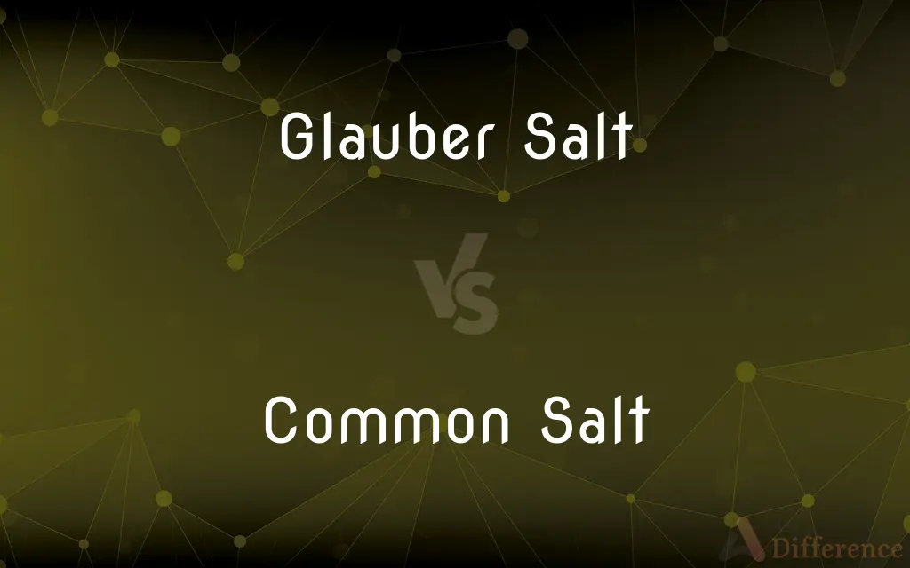 Glauber Salt vs. Common Salt — What's the Difference?