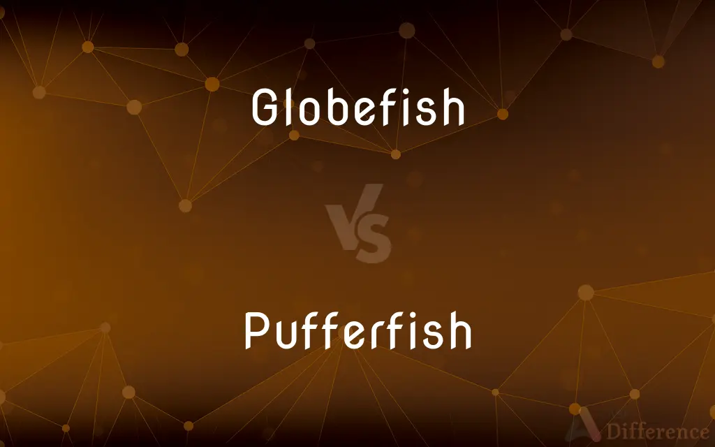 Globefish vs. Pufferfish — What's the Difference?