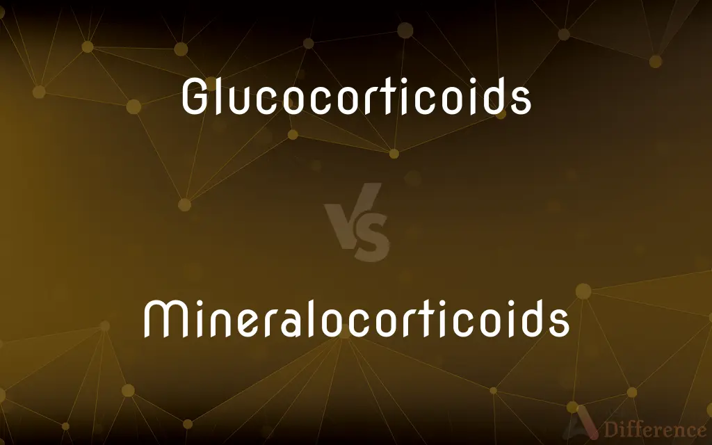 Glucocorticoids vs. Mineralocorticoids — What's the Difference?